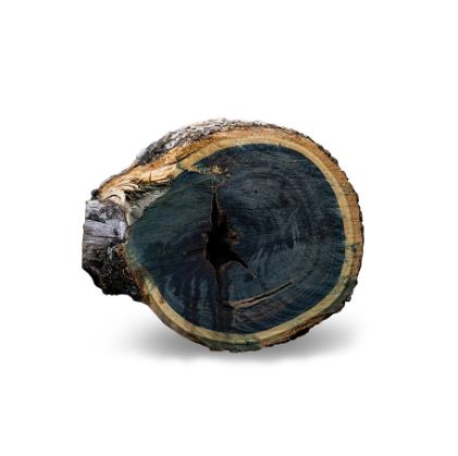 Эфирное масло Гваяковое дерево  Bulnesia sarmientoi