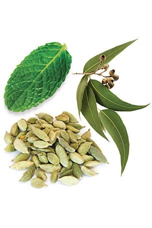 Респираторная смесь масел dо̄TERRA Breathe® роллер