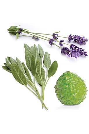 Смесь масел для женщин ClaryCalm® роллер