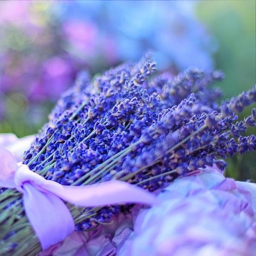 Масло Лаванда Touch Lavandula angustifolia Роллер