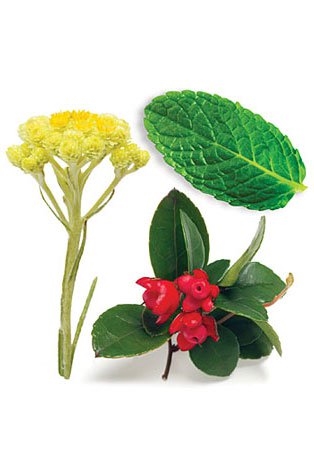 Смесь dōTERRA Deep Blue® роллер Soothing Blend