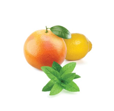 Смесь для улучшения обмена веществ MetaPWR™