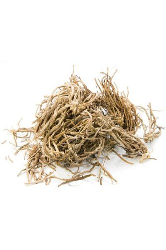 Эфирное масло Ветивер  Vetiveria zizanioides