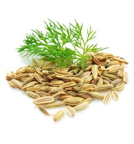 Эфирное масло Фенхель Foeniculum vulgare